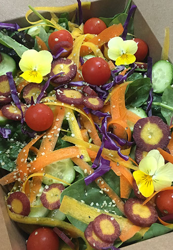 Mixed Baby Greens Salad by Veganics Catering Spring Salad Specials