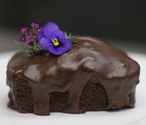 Veganics Products available for whole sale. Vegan Chocolate Cherry Cake