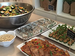 Sushi Salad, Spring Rolls, Cashew Cheese Balls, Sweet Potato Black Bean Quesadillas